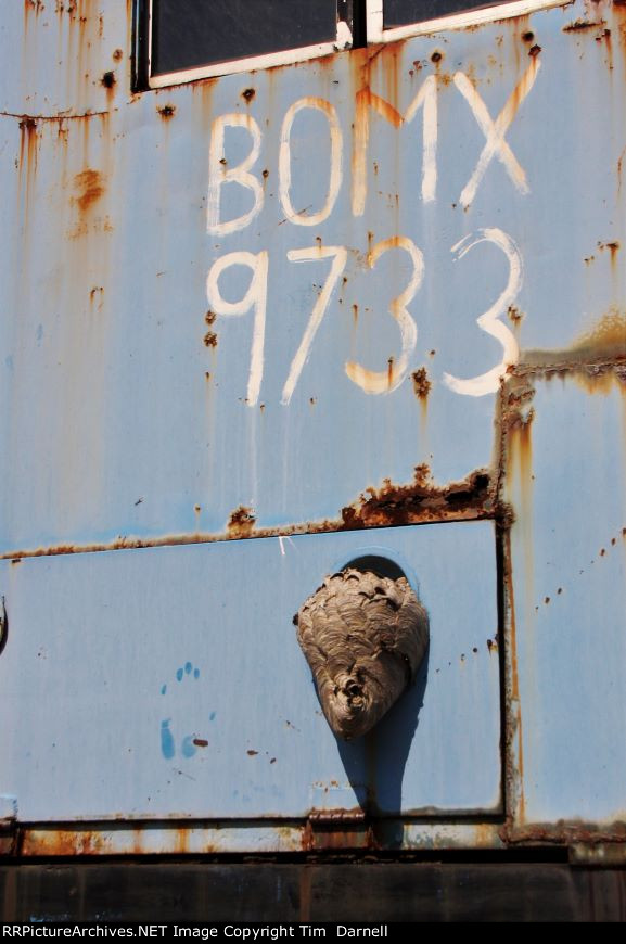 BOMX 9733